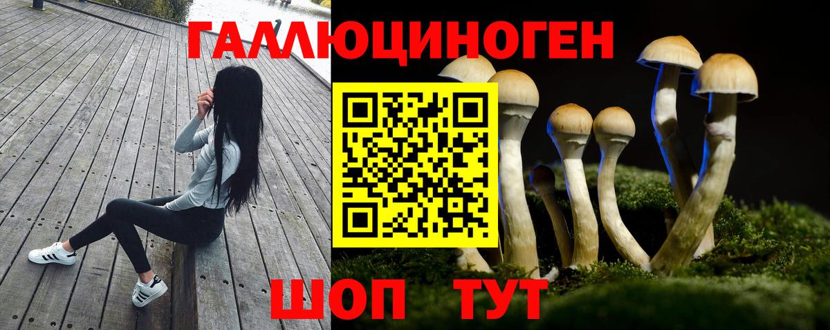 Галлюциногенные грибы MAGIC MUSHROOMS Трёхгорный
